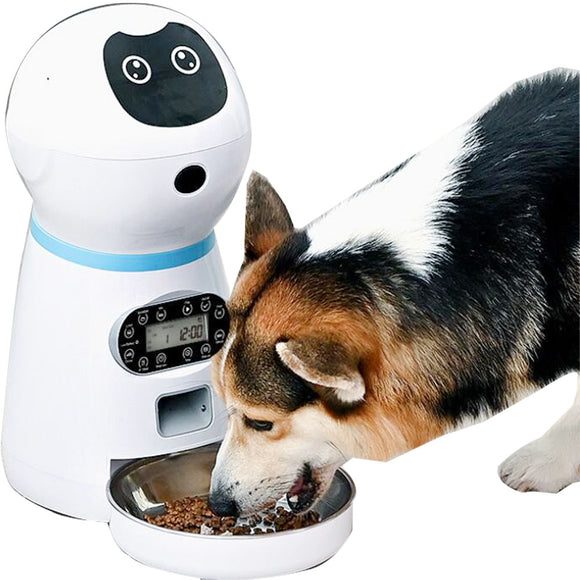 Smart Automatic Pet Feeder With Voice Record Stainless Steel LCD Screen